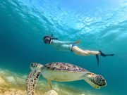 From Bali Private 3 Day Gili Islands Tour with Snorkeling